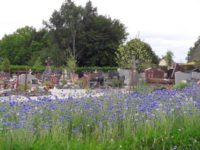 REQUALIFICATION DU CIMETIERE MUNICIPAL