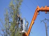 TRAVAUX D’ENTRETIEN DE LA VÉGÉTATION POUR LE BON FONCTIONNEMENT DES LIGNES A HAUTE TENSION