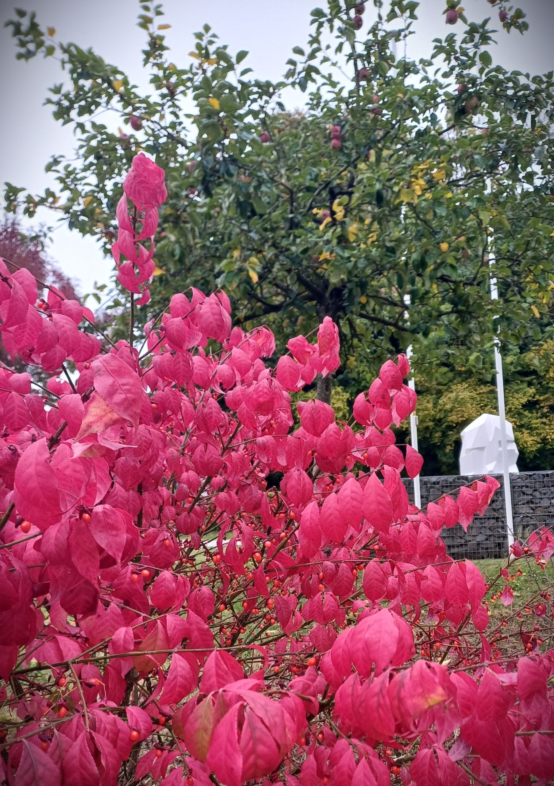 20251011_124024 (002)